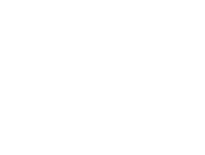 American Institute of Architects Logo.png